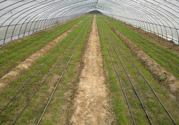 案(àn)例(lì)展示