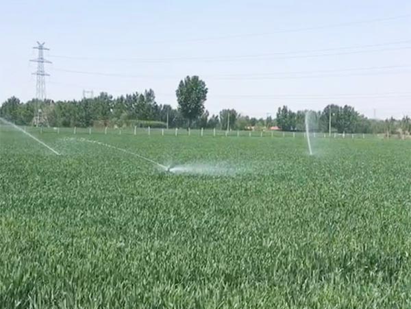 案（àn）例展示