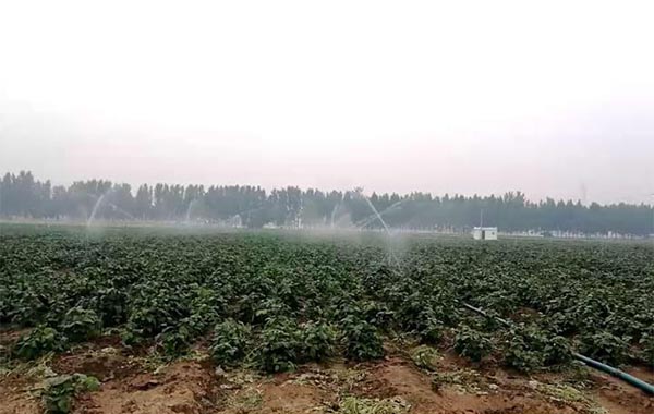 案例（lì）展示