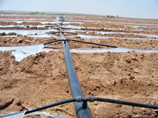 案例展示（shì）