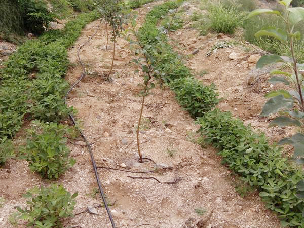 案例展示（shì）