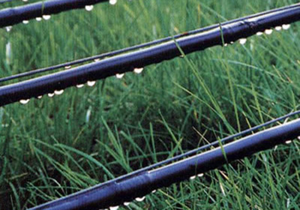 案例展示（shì）