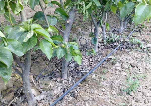 案例（lì）展示