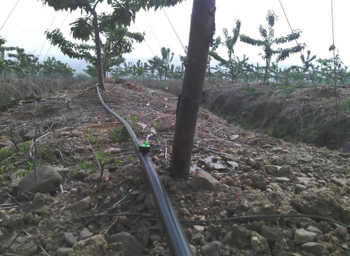 案（àn）例（lì）展示