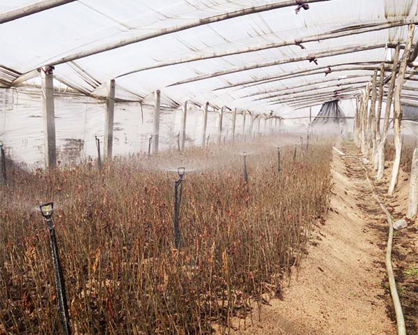 案例展示（shì）