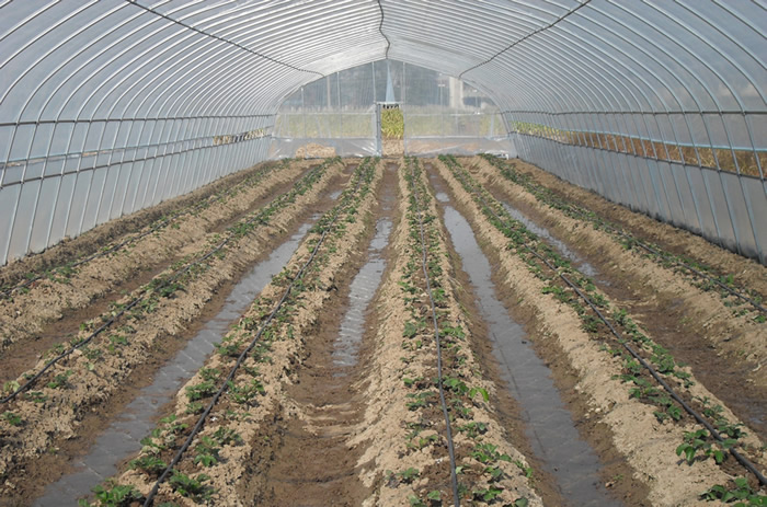 案例展示（shì）