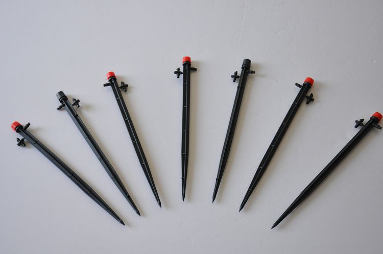 DSC_0119.jpg DSC_0119.jpg